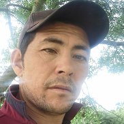 , 37 , 