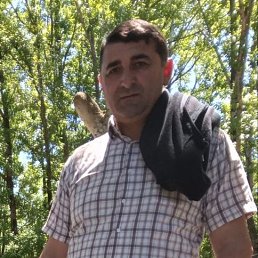 , 49, 