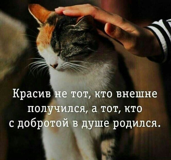  - 25  2025  13:18