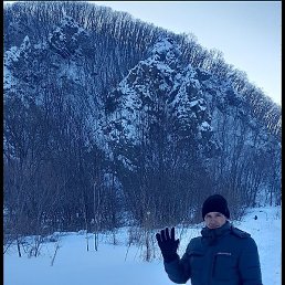 ��������, �����������, 37 ���