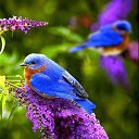 ���� �������, ������, 71 ��� - ��������� 5 ����� 2026 � ������ ������ ��������