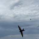 ���� ������, ���, 51 ��� - ��������� 14 ���� 2026 � ������ ���� ����������