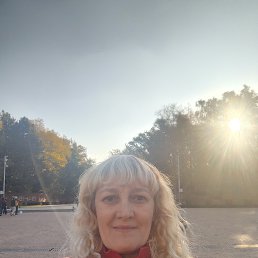 , 53, 