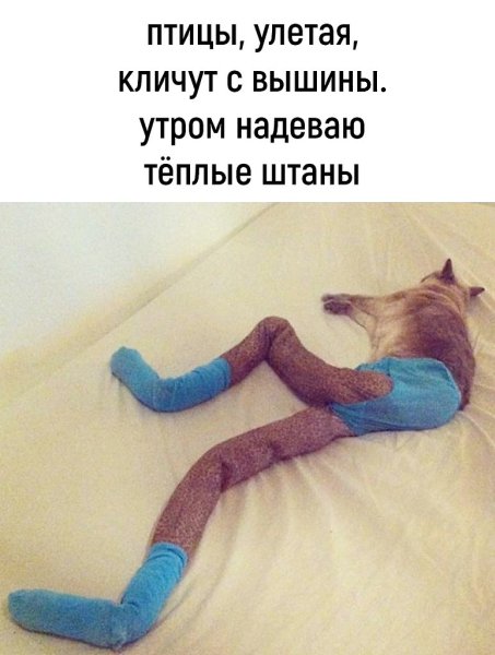  - 3  2025  09:18 - 3