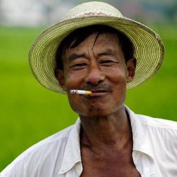 ���, �����, 33 ����