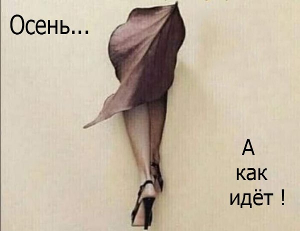    ,        ,   , ...
