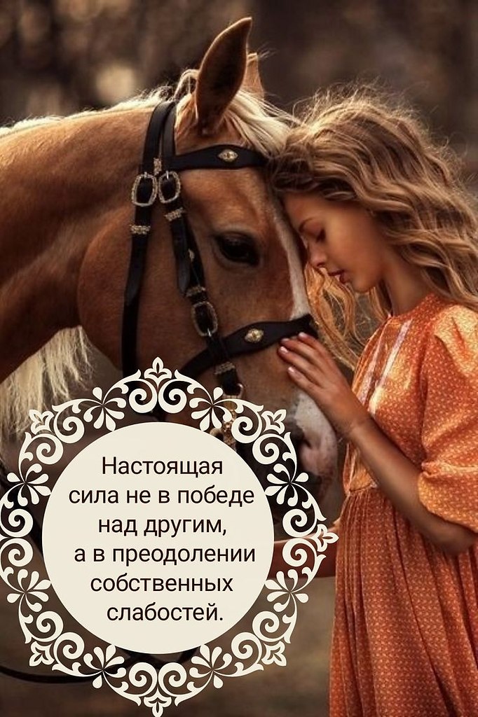 ₪╬═►  ||  ||  ◄═╬₪ - 29  2024  06:40
