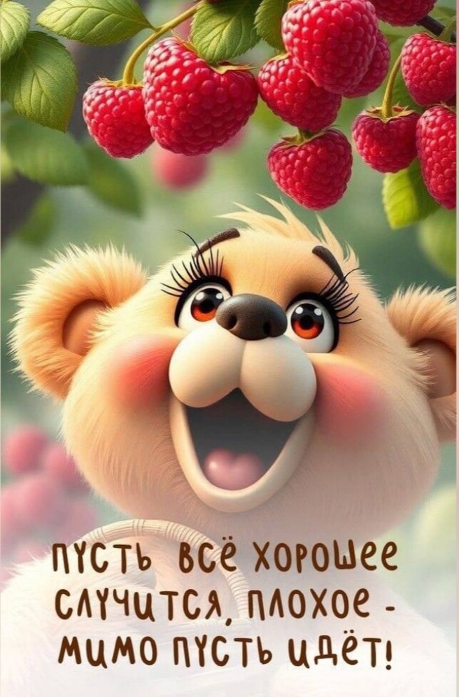  - 12  2025  16:07