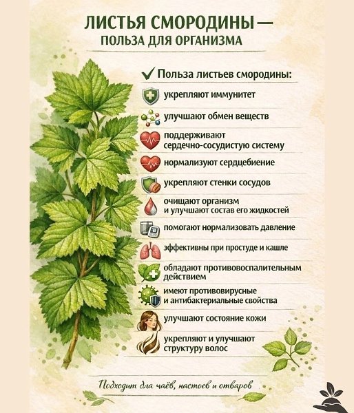 ������ ��������� � ��, � ר� ���� ��� �����. ��� �� ������ ������ ��� ���. ��� ����pa����� ��������� ... - 2