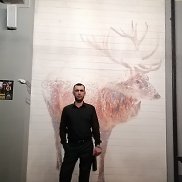 , 43 , 