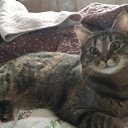 ���� ���������, ������ - ��������� 24 ������ 2025 � ������ ������ ��������