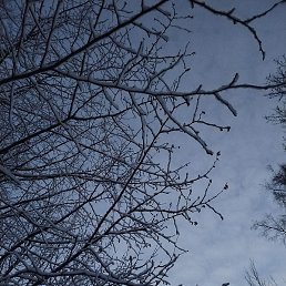 ������, ������, 48 ���