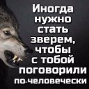 ���� ������, ������ ��������, 40 ��� - ��������� 12 ������� 2025