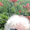 ���� �, ������-��-���� - ��������� 8 ������� 2025 � ������ ���� ����������