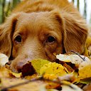 ���� ���, �������� - ��������� 1 ������� 2025 � ������ ������ ��������