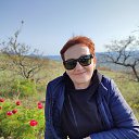 ���� ������, ��������, 56 ��� - ��������� 6 ���� 2025