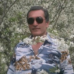 , 54 , 