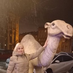 ���� �������, ������������, 51 ��� - ��������� 1 ������ 2024