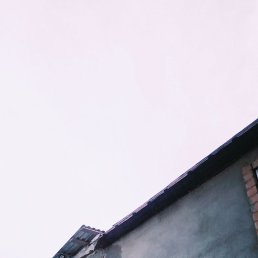 ����, 29 ���, ������