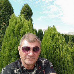 , 47 , 