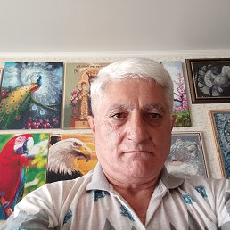 , 61, 