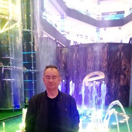 , 61, 