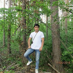 Abukunduz, �����������, 35 ���