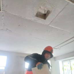 �����, ������, 33 ����