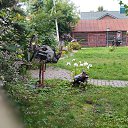 ���� �����, ���������, 50 ��� - ��������� 24 ������� 2025 � ������ �������� �������..�