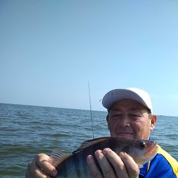, 57 , 