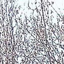 ���������, ������, 45 ���