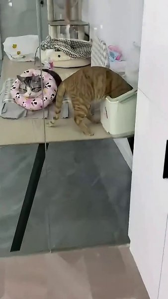 �� �� ��, ����� �������!) - 2