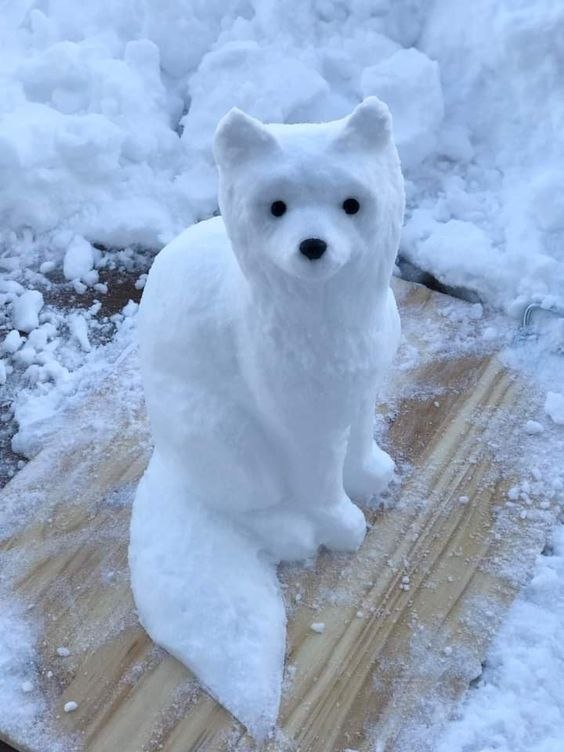   - 5