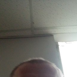 , , 51 
