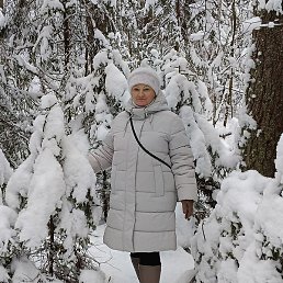 �������, �����, 65 ���