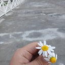 ���� Orzu, �����, 44 ���� - ��������� 22 ���� 2026 � ������ ���� ����������