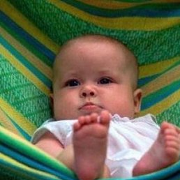 ������, ������, 22 ����