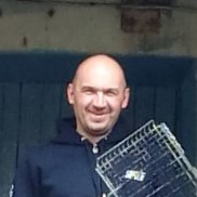 ����, 39 ���, ������