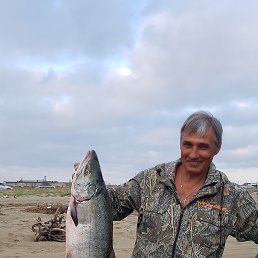 , 61, 
