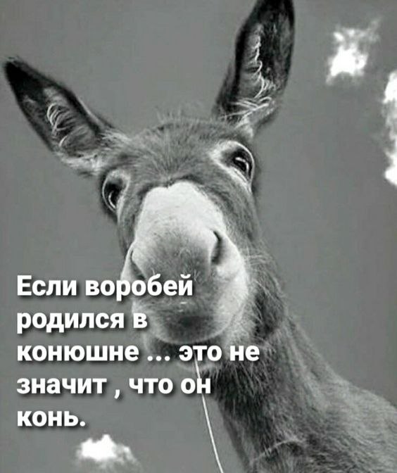   - 27  2024  08:18