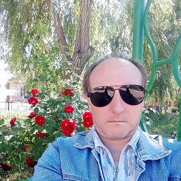 ������, 53 ����, ������