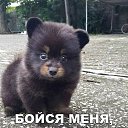 ���� ������, ���������, 59 ��� - ��������� 24 ���� 2025 � ������ ���� ����������