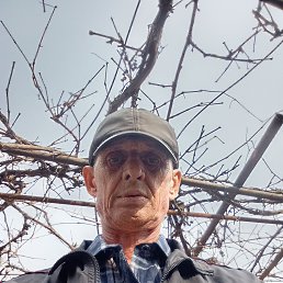 , 61, 