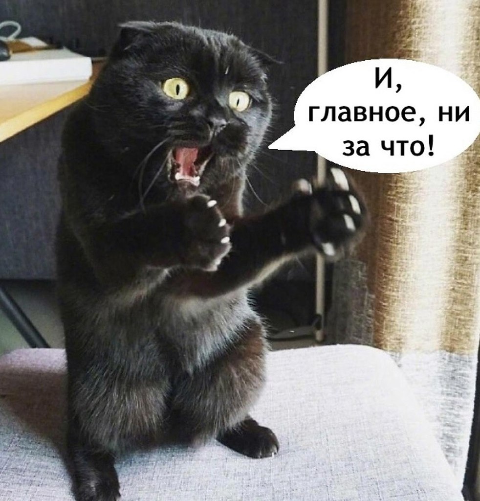 � ����... - 13 ������ 2025 � 12:17 - 2
