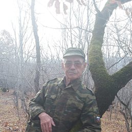 , 66, 
