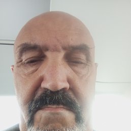 , 54, 