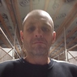 ������, �������, 41 ���