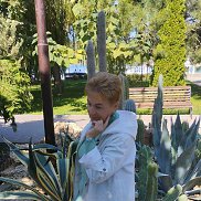 �������, 65 ���, ���������