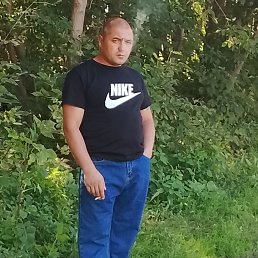 , 33, 