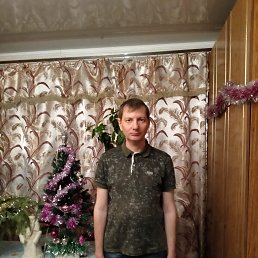 �����, 40 ���, ���������